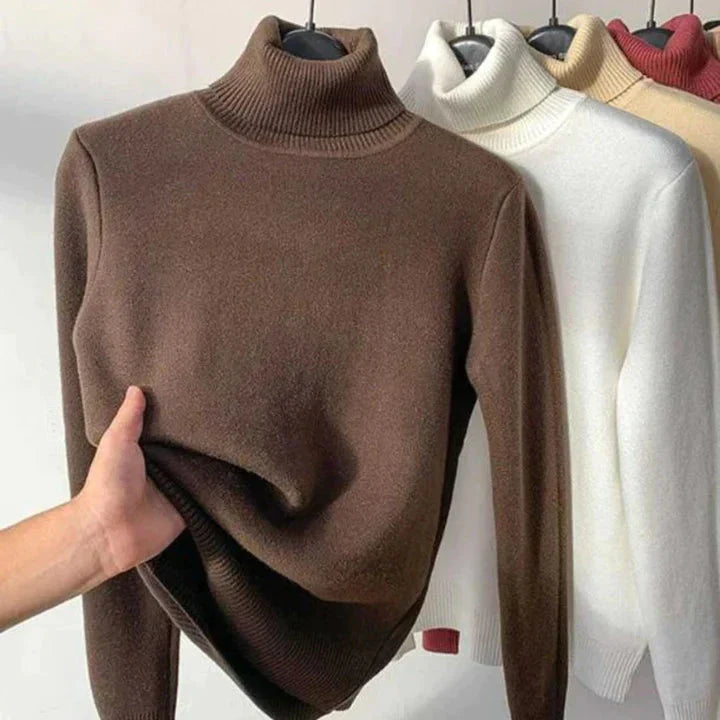 Cozy Knit Turtle Neck Sweater