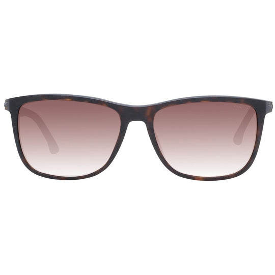 Police Brown Men Sunglass