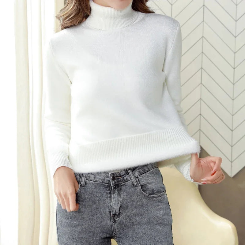 Cozy Knit Turtle Neck Sweater